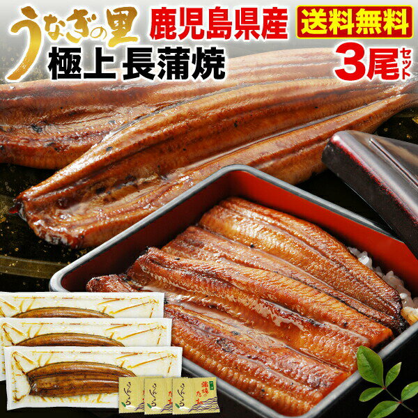 蒲焼き ギフト うなぎ 蒲焼き 国内産 長蒲焼き3本 鹿児島産 ブランド鰻 送料無料 海鮮 ギフト お誕生日 内祝い プレゼント タレ山椒 （鰻・ウナギ） クール