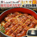 母の日 ギフト 【早得クーポンで5%OFF】 うなぎ 国産 食べ物 グルメ 蒲焼き 鹿児島産 国内産 送料無料 きざみ 4食 10食 海鮮 誕生日 プレゼント ...
