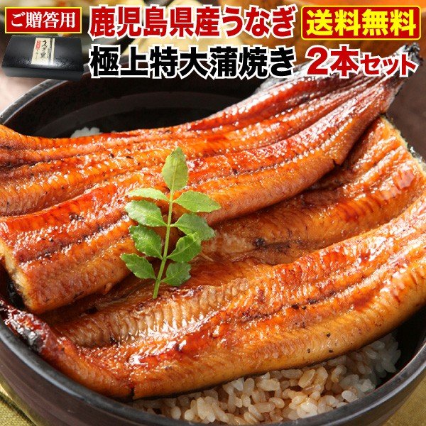 ＼6/3～7/10まで！超早得クーポン10％OFF ／ お中元 ギフト 海鮮 うなぎ 蒲焼き 国産 鹿児島産 特大蒲焼 2本 うなぎ…