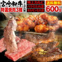 肉 宮崎和牛 黒毛和牛 特選焼肉3種食べ比べセット 600g(約2～3人前) 特上カルビ ハラミ もみダレ ホルモン 味噌だれ漬け 送料無料 冷凍 クール