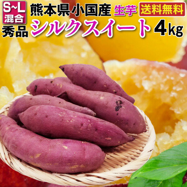 熊本県小国町産 さつまいも シルクスイート 秀品 生芋 4kg S ー Lサイズ混合 熊本県阿蘇の最北端で、世界農業遺産にも指定された小国町の標高700m程の高原にある下巣地区で栽培されるシルクスイートは、「シルク」という名前の通り、従来のさつまいもの常識を超える、絹のようななめらかな舌触りで、まるで上質なスイーツのようです。 商品名 熊本県小国町産 秀品 シルクスイート 生芋 内容 シルクスイート生芋 4kg S ー Lサイズ混合　約100g〜350g/1本、約11本〜40本/箱 が目安です。 ※個数はお約束できません。 原材料 さつまいも シルクスイート（熊本県産） 送料 送料無料 (沖縄・北海道地区のみ送料520円) ※同一配送先に限ります。 保存方法 お召し上がり方について 風通しの良い冷暗所にて保存してください。 発送に ついて 常温便配達:産地直送 ※ヤマト運輸でお届けします。 ※お届け日のご指定ができません。 ※お届け時間帯のご指定承ります。 ※コンビニ支払い(前払い)をご利用の場合は、 　ご入金確認後の発送となります。ご注意下さい。 その他の商品との 同梱発送ができません。 ※他の商品と同時にご注文いただいた場合には、 　別便の発送となり送料等発生します。 ご注意 ※配達状況や荒天の影響により、到着日が遅れる場合があります。 お支払いについて 【クレジットカードの場合】 ※手数料無料です。 【代金引換の場合】 ※別途、手数料として330円申し受けます。 ※ご注文者様とお届け先様のお名前・ご住所が違う場合には、ご利用いただけません。 (お届け先様がご家族等でご了承済みの場合は、その旨ご要望欄にご明記いただけますようお願いします。) 【コンビニ払い・郵便振替(前払い)の場合】 ※ご入金確認後の発送となります。 (当店より「支払い用URL」が記載されたメールをお送りします。こちらのURLにアクセスしていただき、ご希望のコンビニをご選択の上お支払いください。) ※お急ぎの場合は、その他のお支払い方法をご利用ください。 納品書・領収証について 産地直送のため、納品書・領収証等は、お届けの商品に同封できません。 ※ご希望の場合は、別送させていただきますのでお申し付けくださいませ。 お客様へ シルクスイートは自然の農作物ですので、 毎年必ず同じ味のものをつくるのは非常に困難です。 今期に収穫した、シルクスイートにも、お芋の甘さにばらつきがある場合がございます。 また、シルクスイートの皮は薄くて柔らかいため、輸送時の振動などにより表面がこすれた状態で届く場合もございます。 予めご了承いただけますようお願い申し上げます。 販売者名 有限会社ホロニックフーズ福岡県筑紫野市二日市中央2-11-1