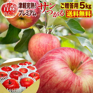 予約商品 りんご 青森 津軽 サンつがるりんご 完熟 プレミアム 5kg(14〜18玉) ギフト プレゼント 送料無料 農家直送 リンゴ 旬 果物 フルーツ 産地直送 Y常