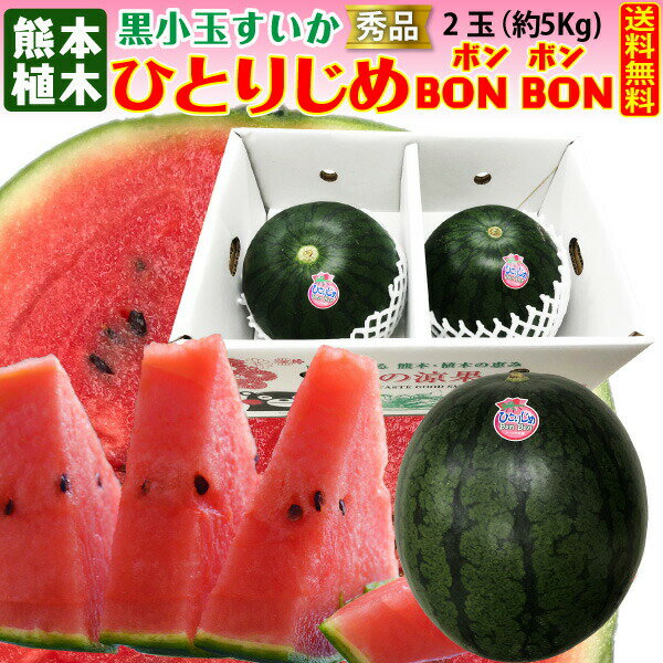 お中元 ギフト スイカ ひとりじめボンボン 秀品 2玉 熊本県産 植木スイカ 送料無料 黒小玉 すいか フルーツ 果物 甘い フルーツの里 産地直送 贈答用 S常のサムネイル