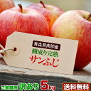 りんご 完熟蜜入り 5kg 青森県南部産 樹成り完熟 ご家庭用 訳あり サンふじりんご 送料無料 産地直送 Y常