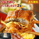 ギフト 鰻 うなぎめし せいろ蒸し仕立て 2食 うな重 鹿児島県産 佐賀県産特別栽培米 夢しずく 佐賀県産米 簡単調理 クール便