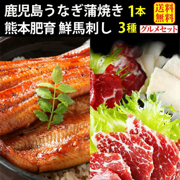 4/1限定【最大100％Pバック+さらに全品P2倍!+最大800円OFFクーポン！】 うなぎ祭り うなぎ 国産 熊本馬刺し セット 蒲焼き 鹿児島産 特大蒲焼き タレ山椒付き 馬刺し 熊本肥育 鮮馬刺し スライス3種盛り 食べ比べ 霜降り・赤身・コウネ　特製馬刺したれ クール 送料無料のサムネイル