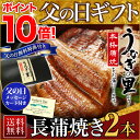 父の日 うなぎ グルメ 食べ物 蒲焼き 国産 鹿児島産 長蒲焼き2本セット 約110g×2 うなぎの里 ギフト（鰻　ウナギ）