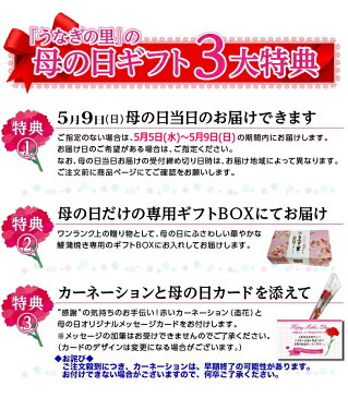 母の日 ポイント10倍 グルメ ギフト プレゼント うなぎ 蒲焼き 国産 鹿児島産 送料無料 特大蒲焼き4本セット 約200g×4 うなぎの里 ギフト（鰻　ウナギ） クール