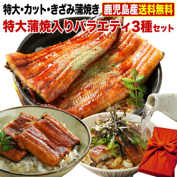 母の日 早得ポイント15倍 ギフト うなぎ 国産 鹿児島産 ブランド鰻 特大・カット・きざみ蒲焼き 3種蒲焼セット 送料無料 グルメ ウナギ 国産 海鮮 贈り物 誕生日 お祝い 魚介 クール