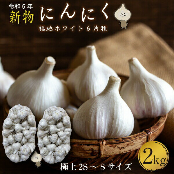 青森 にんにく2kg SSサイズ 約60玉から70玉 福地ホワイト6片 国産 ニンニク 新物 送料無料 Y常 1