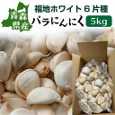 青森 にんにく バラ 訳あり 新物 国産 ニンニク 5kg 送料無料 Y常