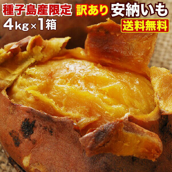 安納芋 さつまいも 訳あり 鹿児島 種子島産 安納いも 蜜芋 S～Lサイズ混合 4kg 送料無料 生芋 産地直送 S常のサムネイル