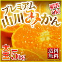 ◆極甘山川みかん(大玉)早得!◆【福岡産★山川プレミアムみかん5kg★送料無料】甘味濃縮♪【楽ギフ_のし】【RCP】 - くいしんぼうグルメ便