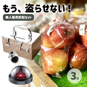 無人販売 料金箱 ワイヤーロック 防犯ダミーカメラ 3点セット 暗証番号 盗難防止 お金入れ 盗難 対策 アイデア ステンレス製 さびない 貯金箱 おしゃれ 無人販売所 野菜 お金 入れ 送料無料