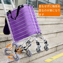 ショッピングカート カートセット アルミ製 階段を登るキャリーカート 容量35L 荷物運搬レバー車 ハンドカート 小型台車 折りたたみ式 軽量 ハンドキャリー ...