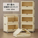 【送料無料】折り畳み収納ボックス 折り畳み収納キャビネット ボックス キャビネット 折り畳み 省スペース 衣装 衣類 化粧品 おもちゃ 本 雑誌 書類 整理整頓 前開き 大容量 透明 耐荷重 収納箱 折りたたみコンテナ 一人暮らし オフィス ベッドルーム