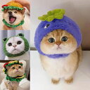 【送料無料】ペット帽子 おしゃれ 人気 猫用 犬用 ペット ハット 帽子 ペット服 かわいい ウエア ペット服 小型猫 小型犬 犬 猫 服 ぼうし 撮影 年末年...