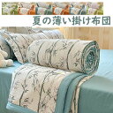 【送料無料】 肌掛け布団 掛け布団 洗える シングル キルトケット 肌布団 肌かけ 肌掛け ふとん 掛布団 ウォッシャブル 丸洗い 夏布団 掛け布団 シングル ...