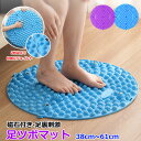 【8%OFFクーポン】足ツボマット 足ツボ押し 38cm~61cm マット 足裏マット 簡易マットグッズ 足踏み 磁石付き マグネット付き ツボ押しマット フットマット 足パッド 指圧ボードマット 人間工学指圧パッド 足痛み緩和 ストレス解消 足先ケア 滑り止め 健康マット 折りたたみ(4)