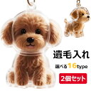 【6%OFFクーポン配布中!】2個セット ペット 遺毛 ケース 透明 16タイプ ペット 遺毛入れ 犬の毛収納ボトル ペットメモリアルボトル 犬のキーホルダー ...