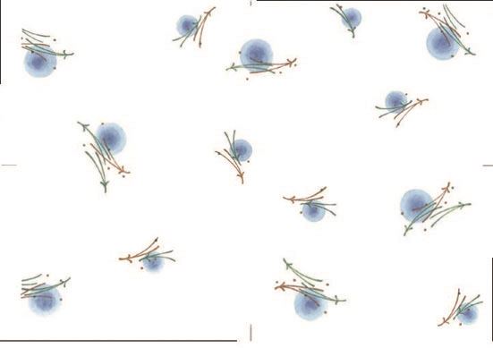 紙テーブルマット　松葉紋（100枚入）38×26cm★メーカー廃盤の際は予めご了承願います★在庫は日々変動の..