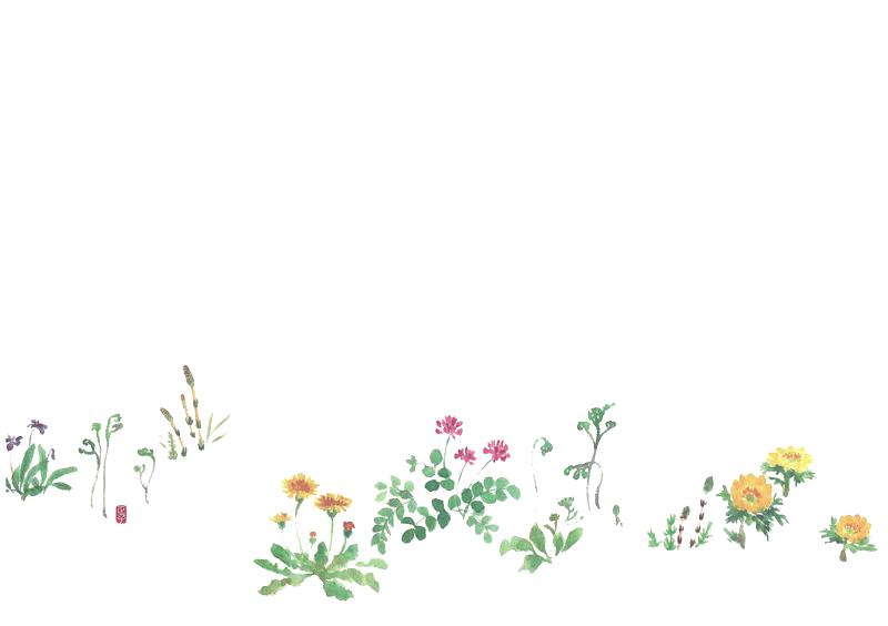 樂天商城 - 雲龍和紙テーブルマット春の花1（100枚入）38×26cm
