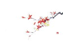 雲龍和紙テーブルマット桜（100枚入）38×26cm