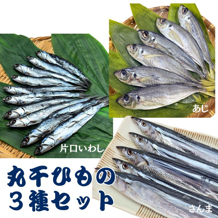 楽天市場】旅する丸干しの通販