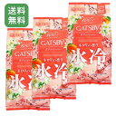 【クーポン発行中!!】 GATSBY アイスボディペーパー ネロリの香り 30枚入 クールシート メンズ 冷感 汗拭きシート 大判 夏対策 ギャツビー ネロリー 送料無料 3個セット まとめ買い