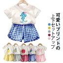 セットアップ 上下セット お出かけ ショートパンツ ベビー服 赤ちゃん Tシャツ 夏 子供服 部屋着 女の子 半ズボン 男の子 おしゃれ キッズ 綿 コットン シンプル フルーツ チェック柄 短パン 薄手 保育園 幼稚園 半袖 出産祝い 果物