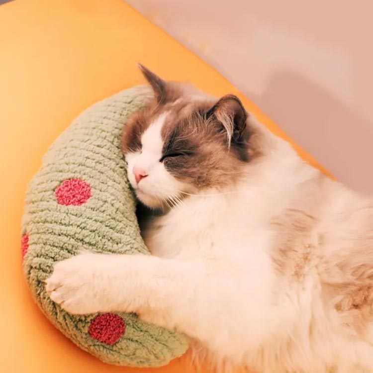 ��η� ǭ��U������ �İ��� �̤������ ǭ �����Τ�ǭ�� ǭ ���Ѥޤ��� ��Ŭ �ڥå��� ���餫 �դ�դ� �ץ쥼����� �ڥå��� ������ ������ �����ޤ��� ���å���� ������