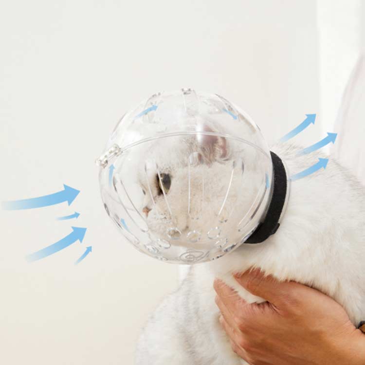 ���������ɻ� ���� ���������� ����إåɥ������� �ͥ� �ڥåȥޥ��� ǭ�ѥޥ��� ǭ�� �ޥ��� ���� �ޤ��������