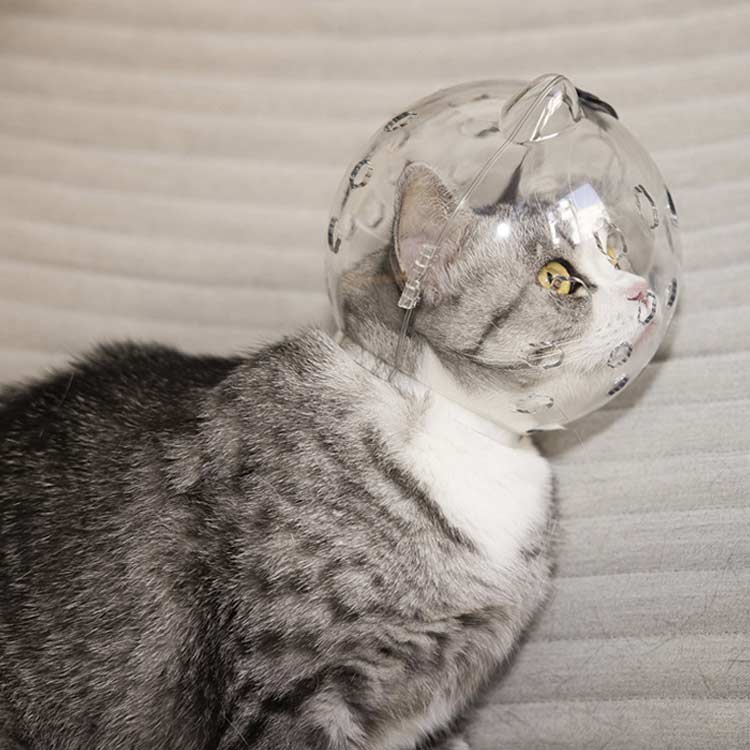 Ʃ�� �̵� ǭ ǭ�ѥޥ��� ���� �̵��� �ͥ� ����إåɥ������� ����åȥޥ��� ���ڤ������ �ͤ� ���ꥶ�٥����顼 ���ݽ� ���� ���� ���ߤĤ��ɻ� �ڥåȥ��ꥶ�٥����顼 �ڥåȥޥ���