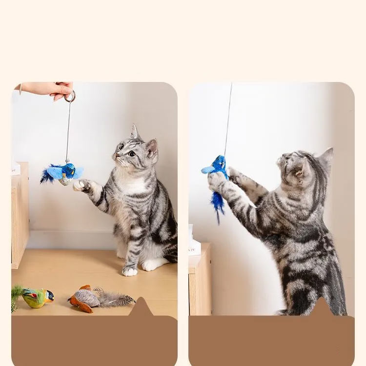 猫おもちゃ セット 2個 鳥型 音が出る 鳴き声 猫犬兼用 羽ばたき 一人遊び プレゼ...