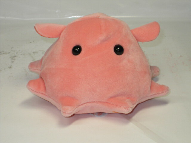 メンダコのぬいぐるみふわもこシリーズメンダコS【母の日】【プレゼント】【定型外郵便物対応商品】