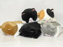 ■商品紹介 かわいいねこのぬいぐるみです ■商品情報 サイズ約長さ17×横幅10×厚み8cm 対象年齢6歳から 生産地中国 《関連ワード》 人形,ぬいぐるみ,ヌイグルミ,縫いぐるみ,プレゼント,贈り物,ギフト,お祝い,誕生祝い,誕生日プレゼント,誕生日,誕生会,クリスマス,クリスマス会,クリスマスプレゼント,出産祝い,敬老の日,母の日,人気,かわいい,動物,子供,女の子ぼうみたいなねこ　うつぶせ 定型外郵便可能商品 ※この商品は定形外郵便で1個まで同梱できます。（詳しくは下記参照） ※定型外郵便は日時指定を受け付けておりません。 ※定型外郵便をご希望の場合は定型外郵便を指定してください。 指定の無い場合は宅配便での発送となります。