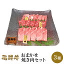 飛騨牛 おまかせ3種 焼肉セット 牛ロース 霜降り 赤身 300g 【肉のくまざき】 送料無料 岐阜 ...