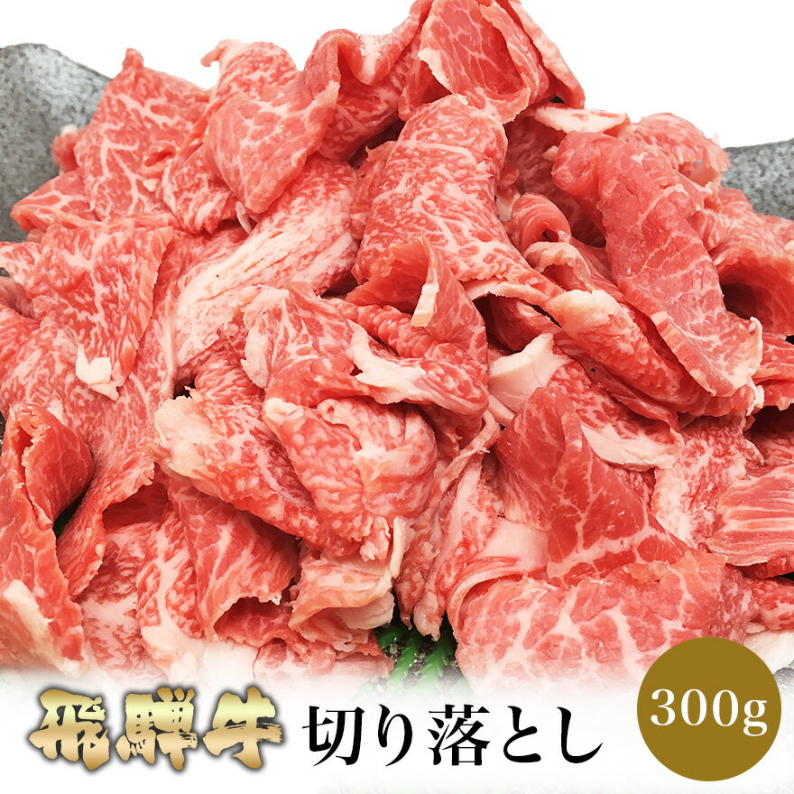 飛騨牛 切り落とし 300g (2人前) 【肉のくまざき】岐阜 名産 お試し 焼肉セット 食べ比べ レジャー バーベキュー BBQ 鉄板焼き 専門店 肉 焼肉 牛 料理 和牛 冷凍 グルメ 肉の日 贅沢 高級 リピート 誕生日 お取り寄せグルメ すき焼き しゃぶしゃぶ