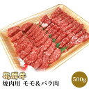 飛騨牛 飛騨牛 焼肉用 もも肉 バラ肉 500g | 高級 ギフト 焼肉 焼き肉 肉 牛肉 スライス モモ ばら 国産 最高級 食品 贈り物 プチギフト グルメ お取り寄せ 内祝い 内祝 出産内祝い プレゼント お返し お誕生日 お祝い 赤身 岐阜 専門店 飛騨牛専門店 母の日 2023 冷凍 送料無料