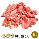 飛騨牛 切り落とし 1kg | 高級 ギフト 焼肉 焼き肉 すき焼き すきやき 肉 牛肉 モモ ウデ バラ 国産 最高級 食品 贈り物 プチギフト グルメ お取り寄せ 内祝い 内祝 出産内祝い プレゼント お返し お誕生日 お祝い 赤身 岐阜 専門店 飛騨牛専門店 母の日 2023 冷凍 送料無料