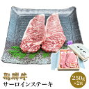 飛騨牛 サーロインステーキ 250g×2枚 【肉のくまざき】 送料無料 岐阜 名産サーロインステーキ肉 専門店 肉 焼き肉 焼肉 牛 料理 岐阜県産 和牛 ギフ...