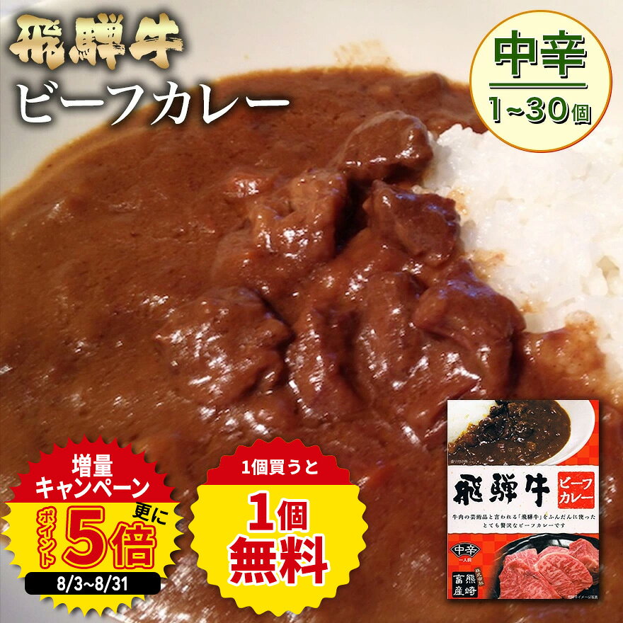 飛騨牛 ビーフカレー 【肉のくまざき】 送料無料 岐阜 飛騨 ひだ 名産 専門店 販売店 通販 プロ 和牛 高級ブランド牛 簡単 ギフト かれー グルメ レトルト れとると 即日出荷 惣菜 贅沢