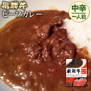 飛騨牛 ビーフカレー 中辛1個 【肉のくまざき】 送料無料 岐阜 飛騨 ひだ 名産 専門店 販売店 業務用 通販 プロ 肉 牛 牛肉 ぎゅうにく 和牛 高級ブランド牛 簡単 ギフト かれー グルメ レトル…