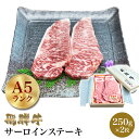 飛騨牛 サーロインステーキ 250g×2枚 【肉のくまざき】 送料無料 岐阜 名産サーロインステーキ肉 専門店 肉 焼き肉 焼肉 牛 料理 岐阜県産 和牛 ギフト 冷凍 グルメ 肉の日 贅沢 高級 リピート リピーター 誕生日 贈り物 霜降り
