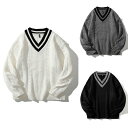 ニット メンズ ニット セーター 長袖 トップス Vネック 秋服 冬服 プルオーバー セーター トップス 長袖 シンプル お洒落 カジュアル バレンタイン 2023