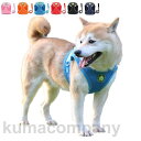 ハーネス リード 胴輪 首輪 犬用 スプリング ペット 通気性 リード ハーネスセット ドッグラン お散歩 脱着簡単 衝撃吸収 トレーニング 外出 お洒落 安全