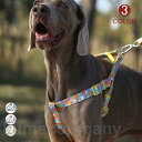 ハーネス リード 胴輪 首輪 犬用 中型犬 大型犬 小型犬 ペット 8の字ハーネス 通気性 ハーネスセット お散歩 脱着簡単 衝撃吸収 トレーニング 外出 お洒...