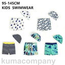 子供 水着 男の子 キッズ 90cm 95cm 100cm 110cm 120cm 130cm 小学生 ジュニア ゆったりタイプ UV対策 日焼け対策 水遊び プール 海 川 アウトドア 男児用 シ