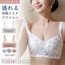 ブラジャー ブラ 春新作 ノンワイヤー 単品ブラジャー レディース 女性 補正下着 自胸 育乳ブラ 谷間 脇肉 脇すっきり 柔らか 脇高 インナー 無地 通気
