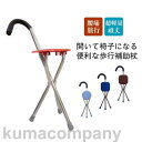 お出かけ杖 座れる 山登り おすすめ アウトドア 折りたたみ 座れるステッキ 歩行補助杖 ステッキチェア コンパクト 椅子 腰痛 旅行(4)